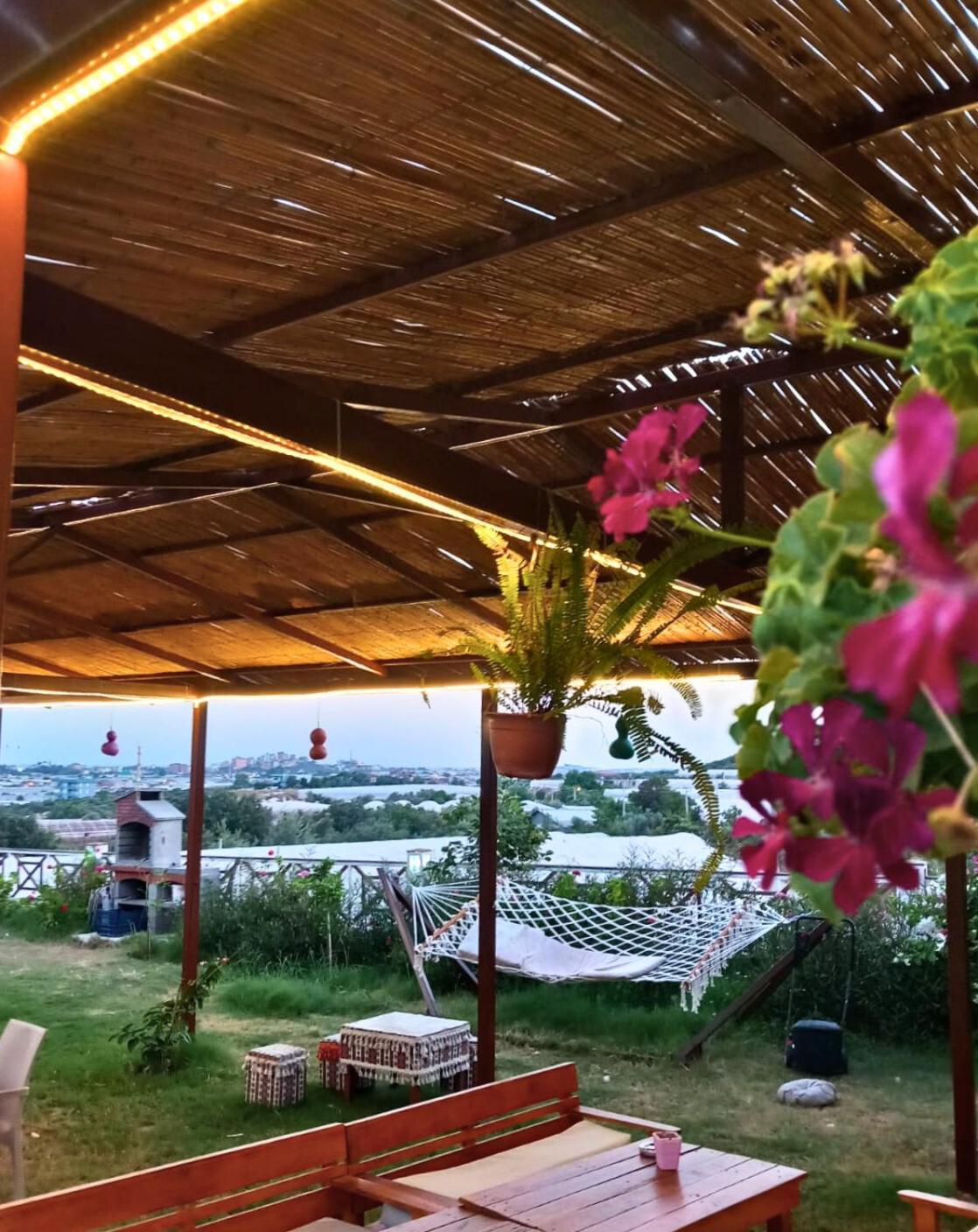 Bu Bungalow Hotel 뎀레 외부 사진